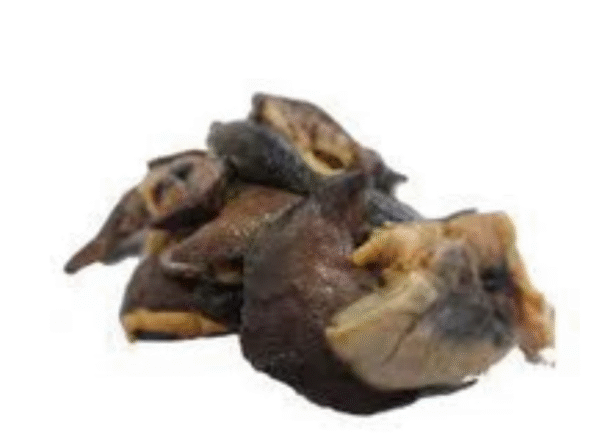 Dried Giant Snail 200g