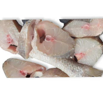 Frozen Croaker Fish